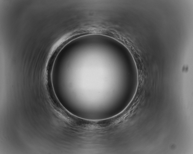 X0000100370246200806061202