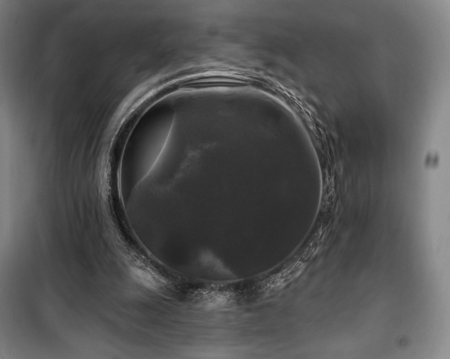 X0000100370247200806061202