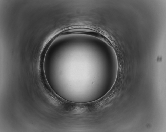 X0000100370248200806061202