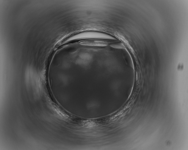 X0000100370249200806061202