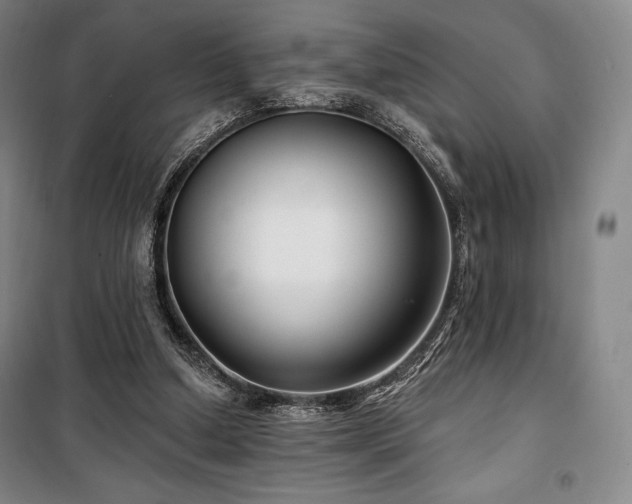 X0000100370250200806061202