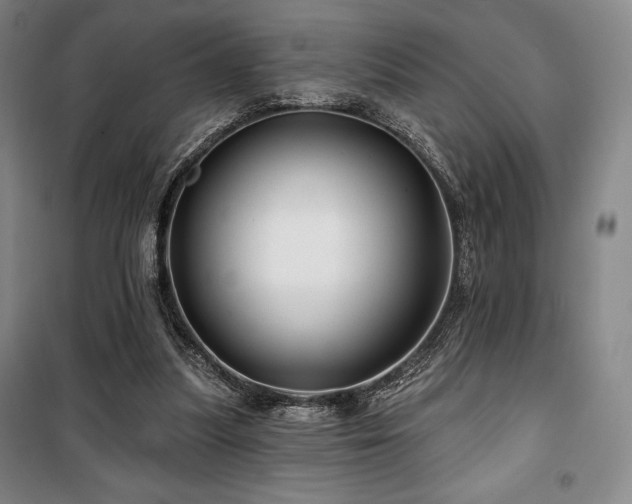 X0000100370251200806061202