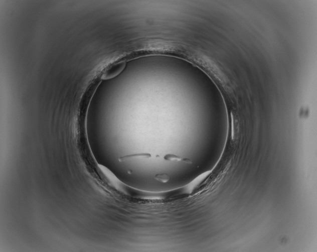 X0000100370252200806061202