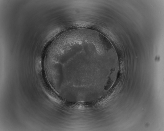 X0000100370254200806061202