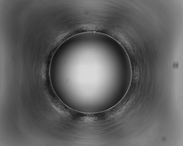 X0000100370255200806061202