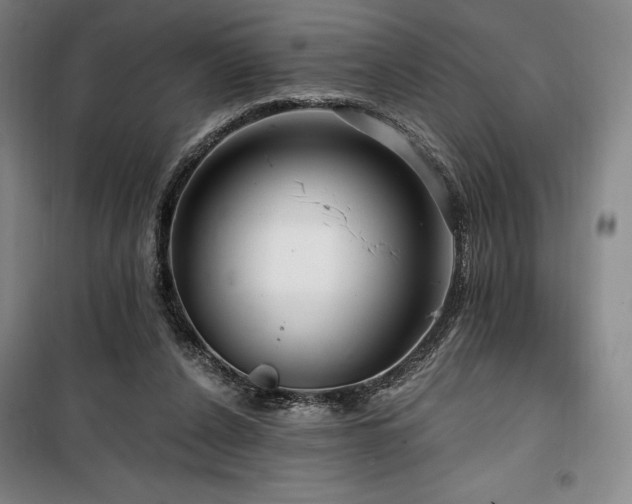 X0000100370256200806061202