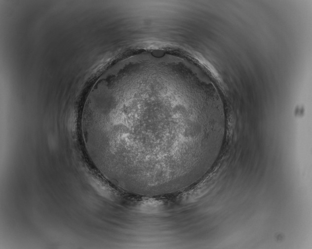 X0000100370257200806061202