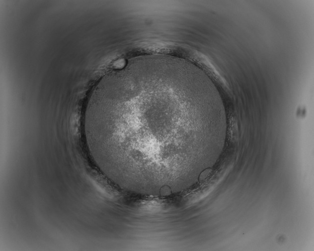 X0000100370259200806061202