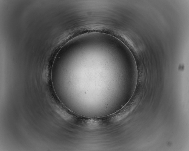 X0000100370261200806061202