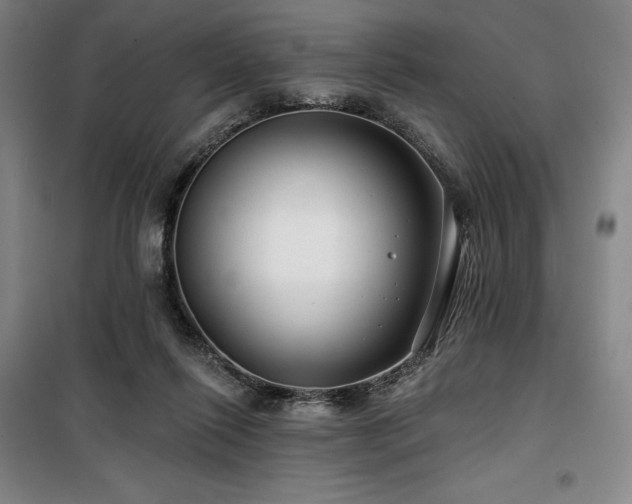 X0000100370262200806061202