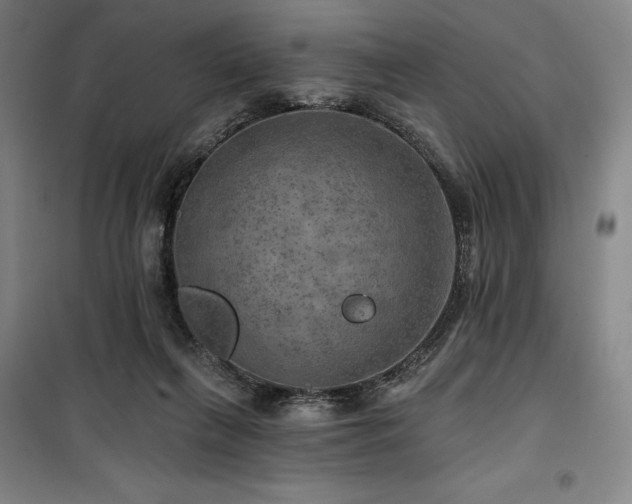 X0000100370263200806061202