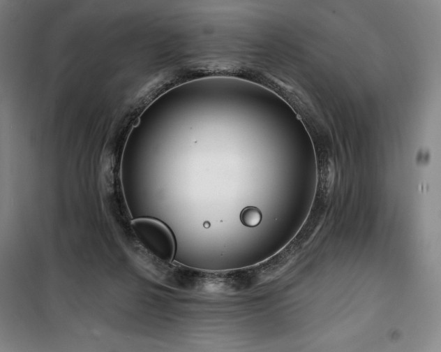 X0000100370264200806061202