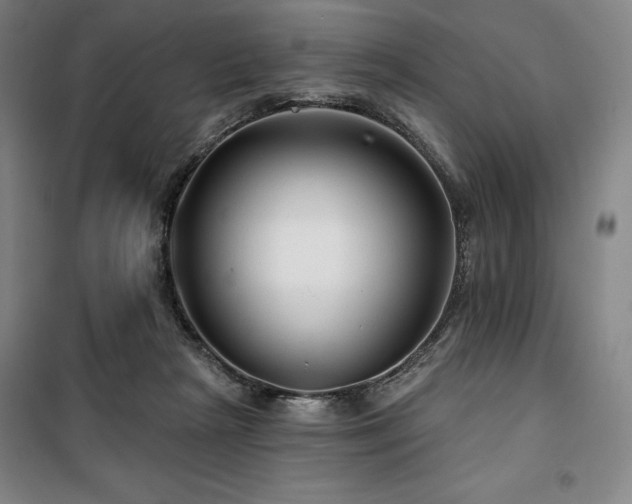 X0000100370265200806061202