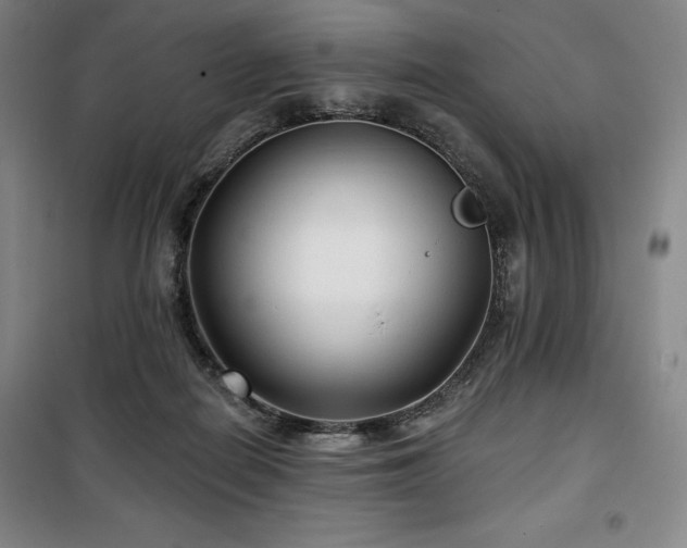 X0000100370266200806061202