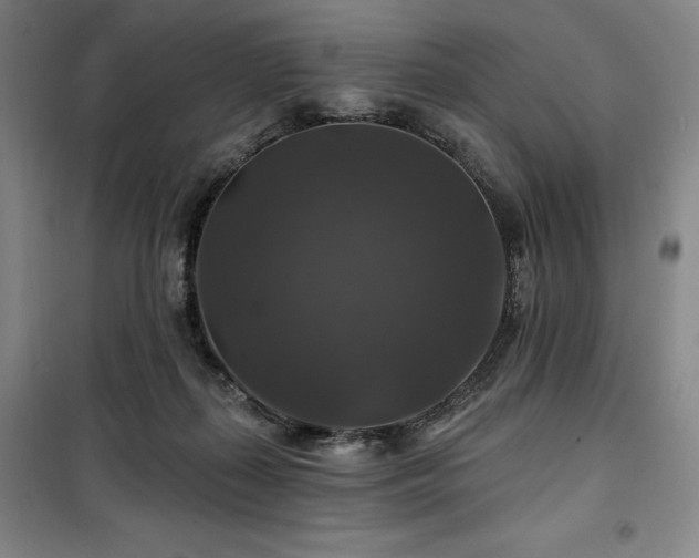 X0000100370267200806061202