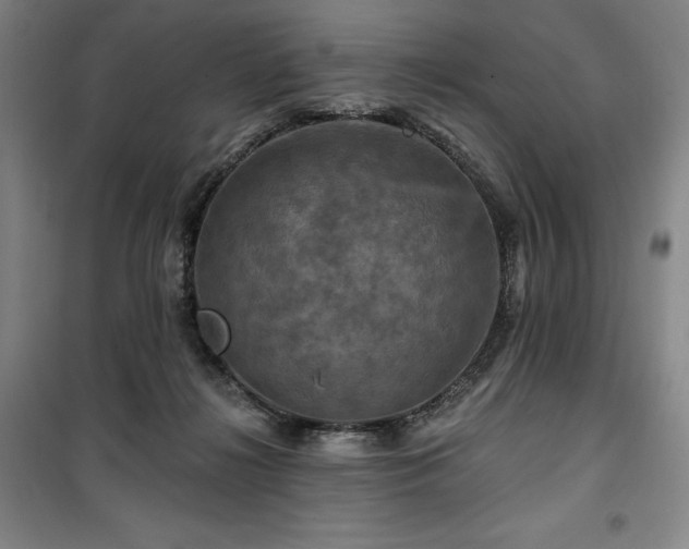 X0000100370268200806061202