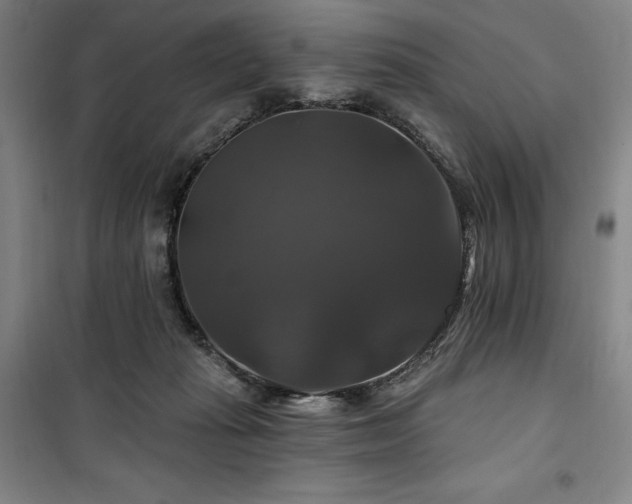 X0000100370269200806061202