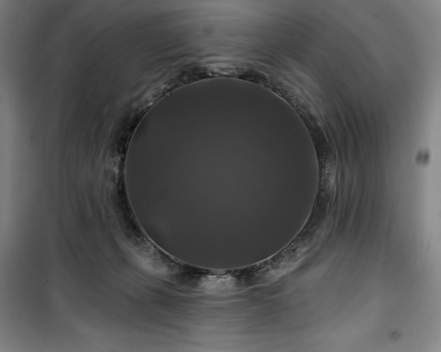 X0000100370271200806061202