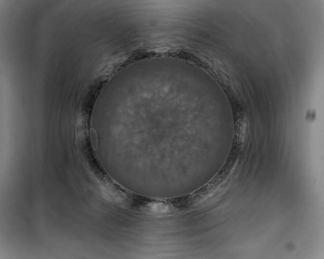 X0000100370272200806061202