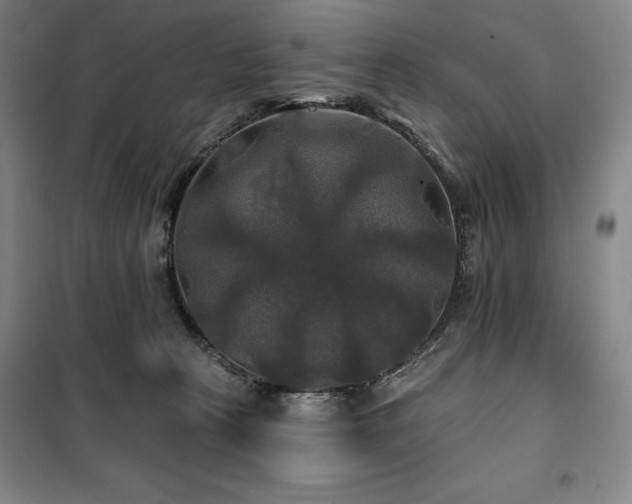 X0000100370273200806061202