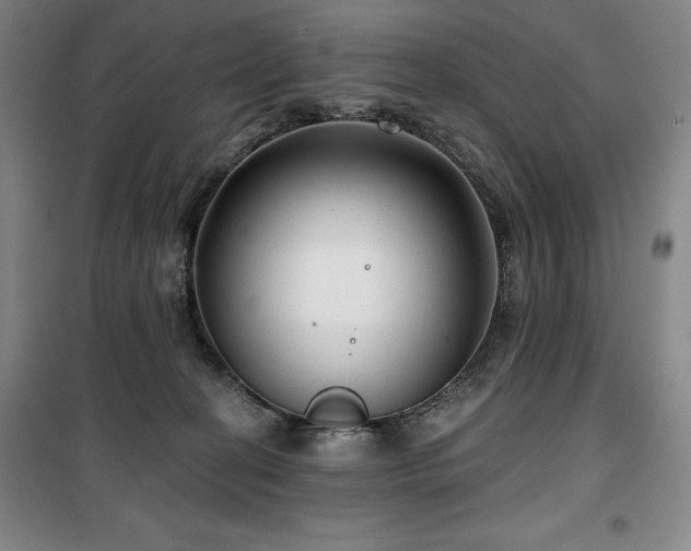 X0000100370274200806061202