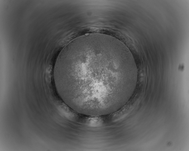 X0000100370275200806061202