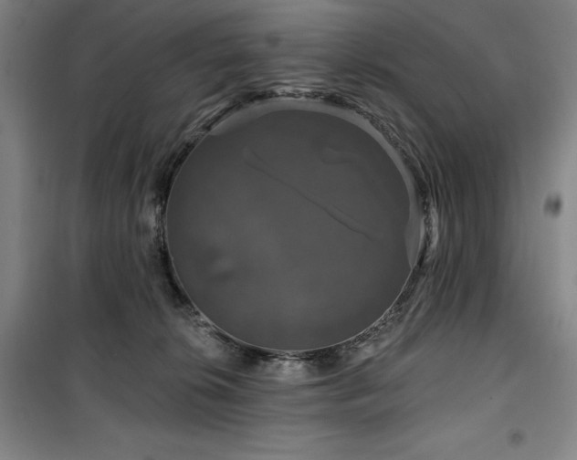 X0000100370276200806061202