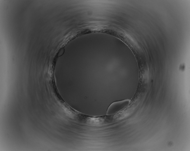 X0000100370277200806061202