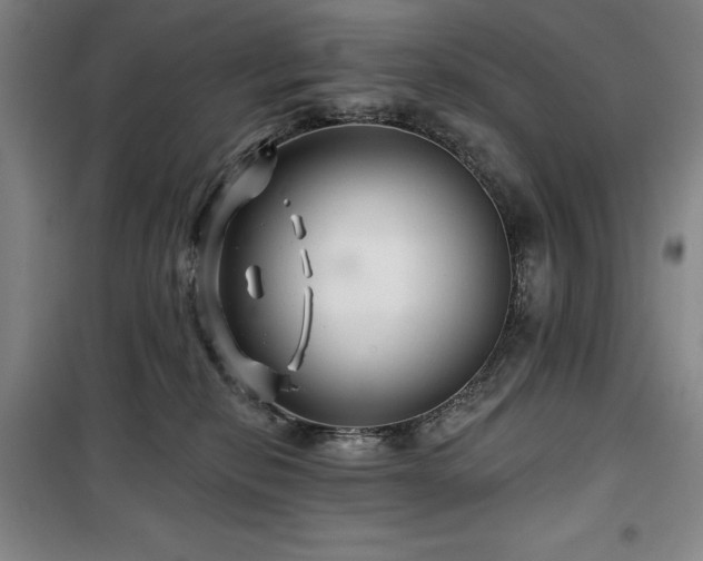 X0000100370278200806061202