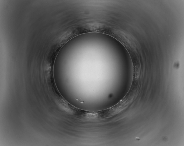 X0000100370279200806061202