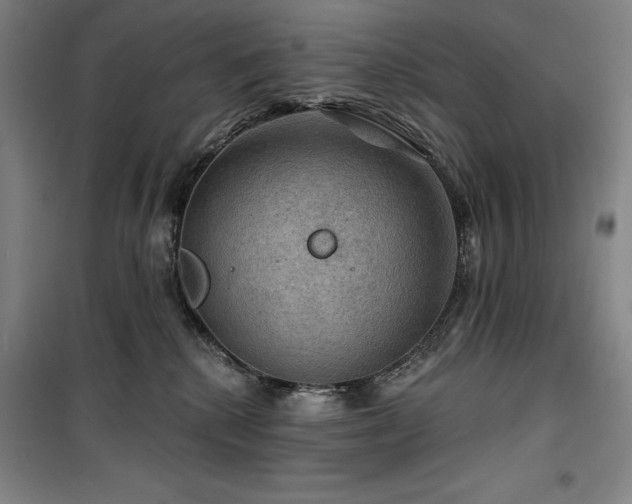 X0000100370280200806061202