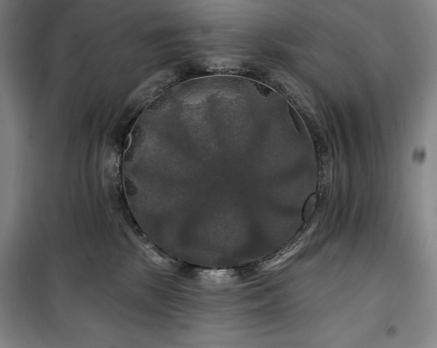 X0000100370281200806061202