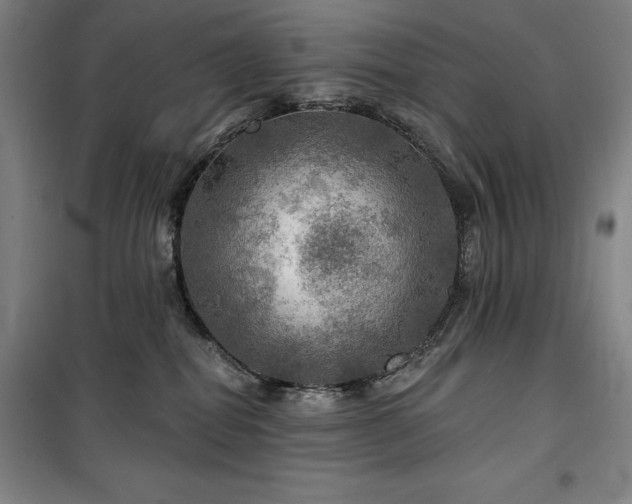 X0000100370282200806061202