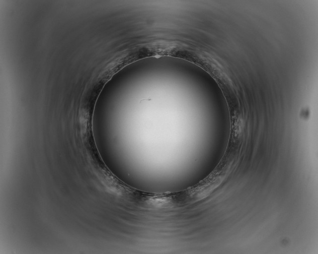 X0000100370283200806061202