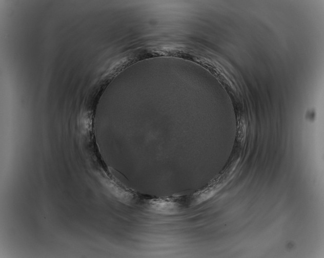 X0000100370284200806061202