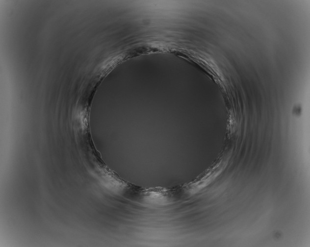 X0000100370285200806061202