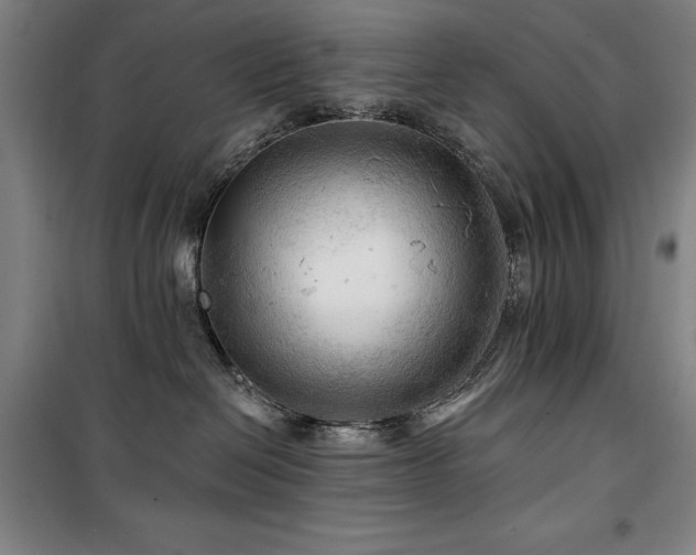 X0000100370286200806061202