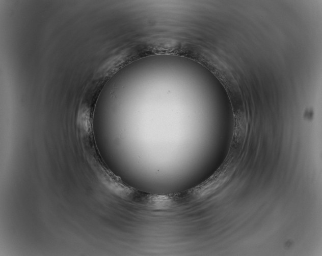 X0000100370287200806061202