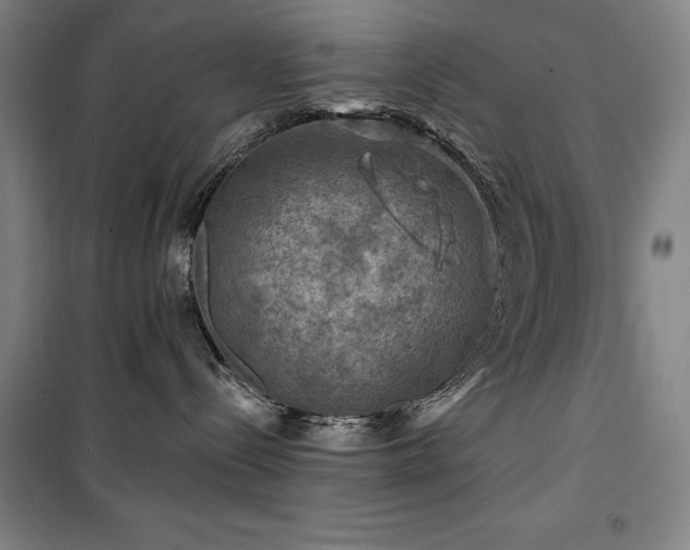 X0000100370288200806061202