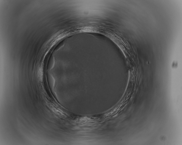 X0000100370290200806061202