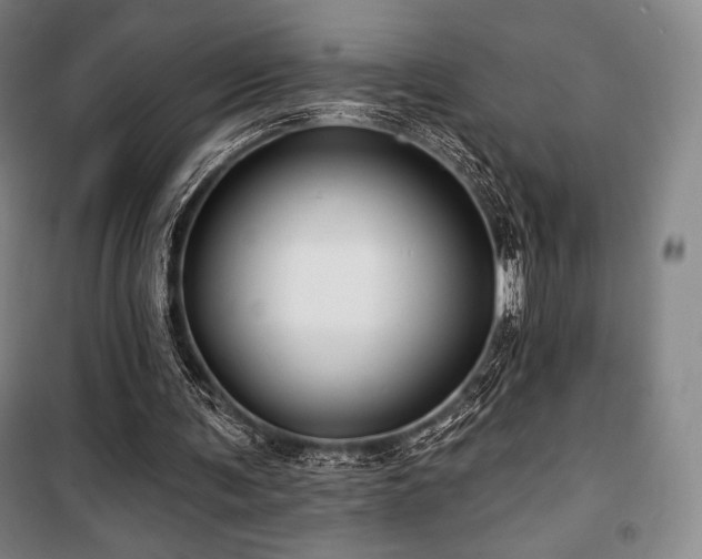 X0000100370291200806061202