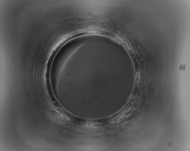 X0000100370292200806061202