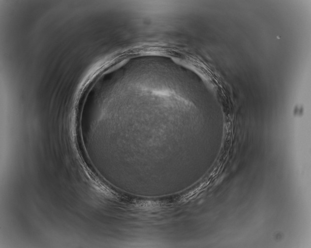 X0000100370293200806061202