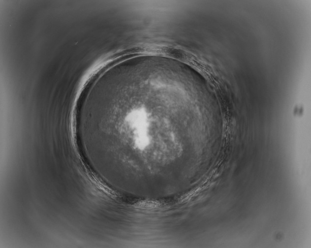 X0000100370294200806061202