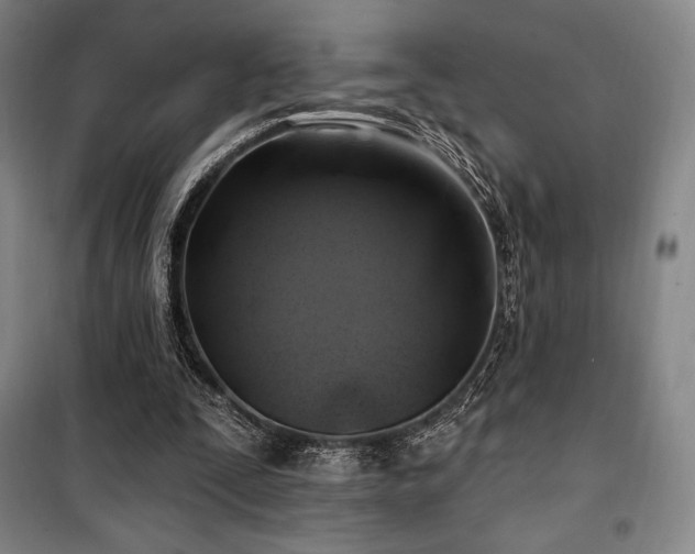 X0000100370295200806061202