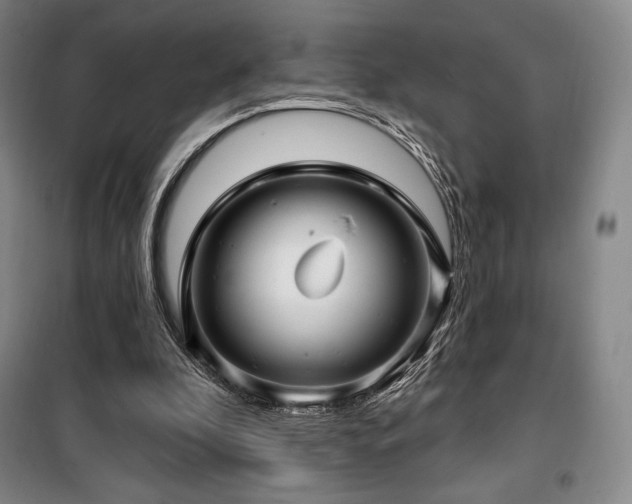 X0000100370296200806061202