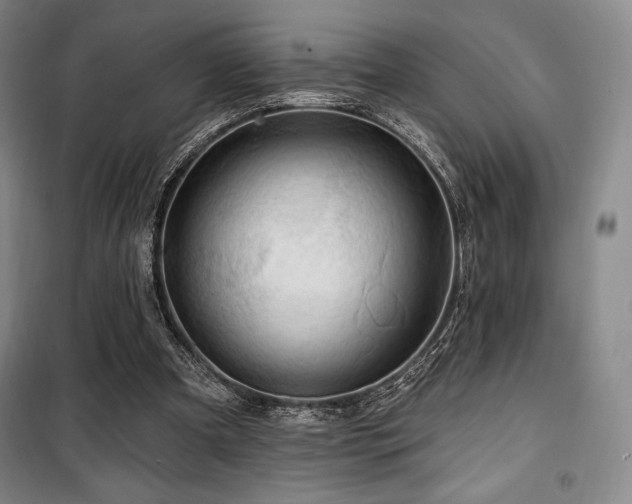 X0000100370297200806061202