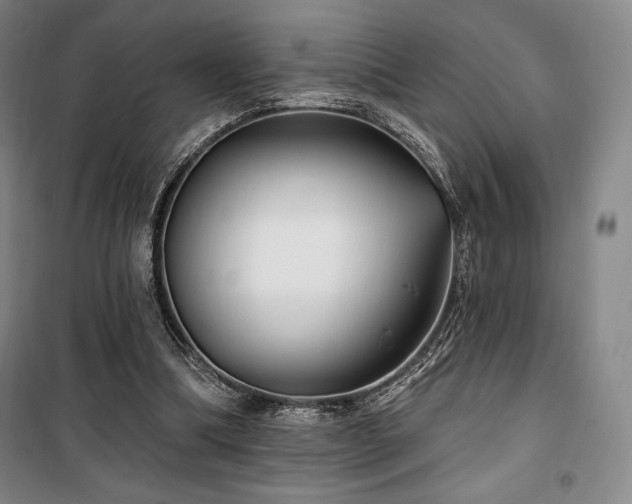 X0000100370298200806061202