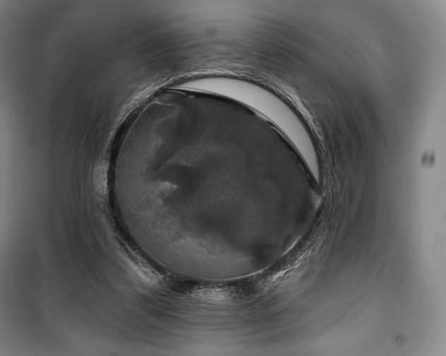 X0000100370299200806061202