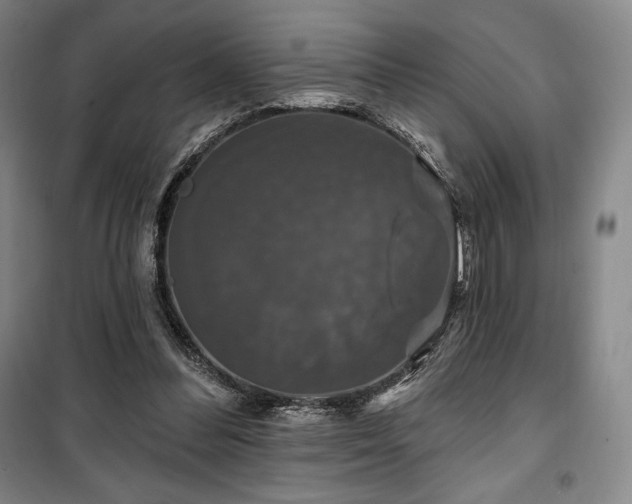 X0000100370300200806061201